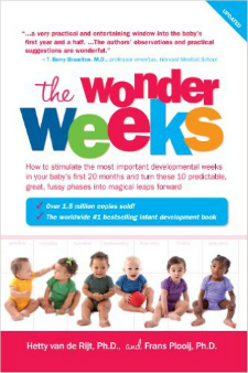 The wonder weeks 225x338