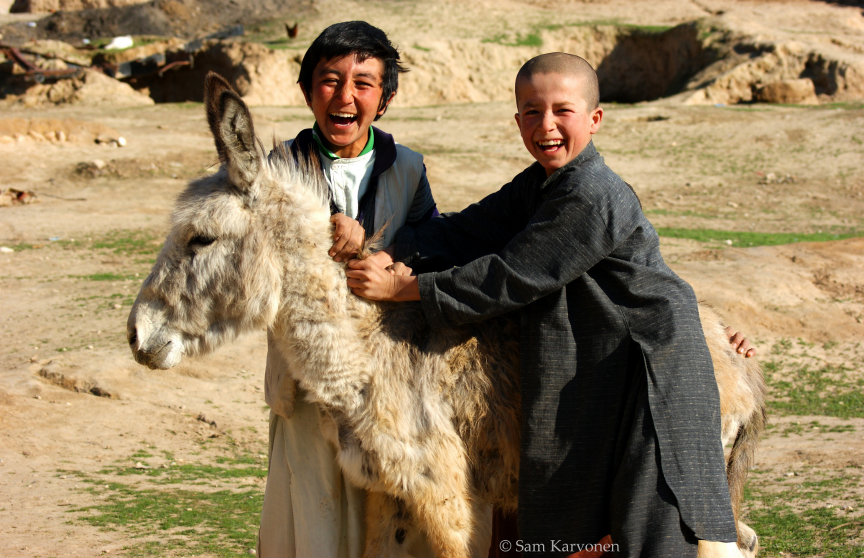 Uzbek-donkey-boys