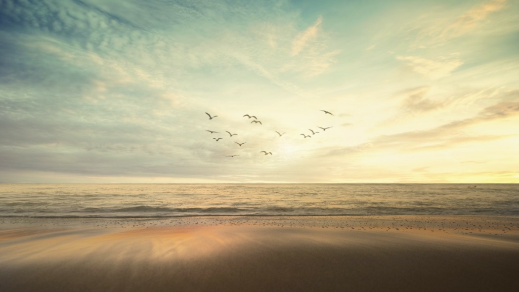 Monthly reflection rahmat mercy 1200x675 | baha'i blog